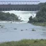 ವಿದೇಶಿ ಮಹಿಳೆಯ ಬ್ಯಾಗ್‍ನಲ್ಲಿ ಲಕ್ಷ ಲಕ್ಷ ಹಣ ಪತ್ತೆ!
